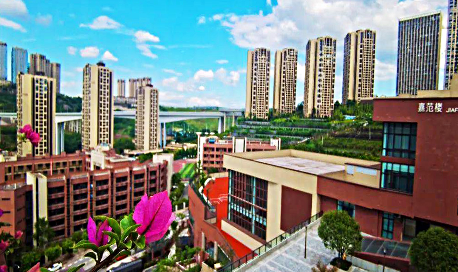 禮嘉小學(xué)